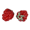 Handmade Lampwork Beads LAMP-N042-17A-2