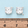 925 Sterling Silver Pave Clear Cubic Zirconia Flat Round Charms STER-T008-69S-02-4