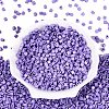FGB Baking Paint Glass Seed Beads SEED-Q040-09A-16-2