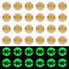 50G Luminous Transparent Acrylic Beads OACR-TAD0001-01K-1
