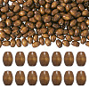 Spray Painted Natural Maple Wood Beads X-CD-TAC0003-01B-2