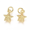 Electroplated Alloy Charms X-PALLOY-G267-09G-2