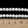 Natural Trochid Shell/Trochus Shell Beads Strands SH-CBA2978-16A-4