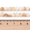 Natural Freshwater Shell Beads Strands X-SHEL-T011-02-6mm-4