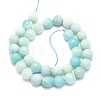 Natural Amazonite Beads Strands G-K310-A02-10mm-2