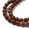 Natural Jasper Beads Strands G-H298-A05-02-4