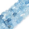 Natural Aquamarine Beads Strands G-P568-C13-01-2