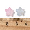 Frosted Acrylic Charms OACR-M023-04G-3