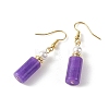 304 Stainless Steel Dangle Earrings EJEW-JE07294-5