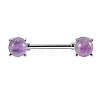 304 Stainless Steel Pave Natural Amethyst Half Round Nipple Barbells WG71F42-04-1