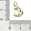 Brass Micro Pave Cubic Zirconia Pendants KK-H475-15G-04-3