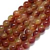 Natural Malaysia Jade Beads Strands G-B165-C05-14mm-2