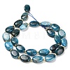 Natural Apatite Beads Strands G-H005-A03-02-3