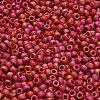 TOHO 6/0 Round Beads X-SEED-TR06-0768-4