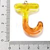 Resin Pendant FIND-Q107-01J-01-3