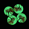 Elephant Pattern Luminous Dome/Half Round Glass Flat Back Cabochons for DIY Projects GGLA-L010-14mm-K04-1