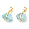 Natural Amazonite Charms G-L528-18C-2