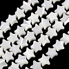Natural Trochid Shell/Trochus Shell Beads Strands SH-CBA2978-17A-1
