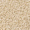 MIYUKI Delica Beads SEED-JP0008-DB0204-4