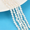 Natural Cultured Freshwater Pearl Beads Strands PEAR-P064-19B-12A-1