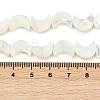Natural White Shell Beads Strands SSHEL-10X12-3
