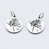 Eco-Friendly 316 Surgical Stainless Steel Micro Pave Cubic Zirconia Charms X-RB-I078-75P-NR-1