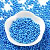 Baking Paint Glass Seed Beads SEED-H002-I-B505-2