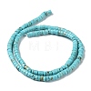 Natural Howlite Beads Strands X-G-E604-A02-B-2