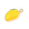 Fruit Alloy Enamel Pendants LS-ENAM-P264-02I-G-3
