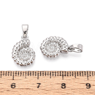 Brass Charms KK-N259-20P-1