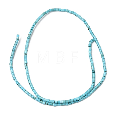 Synthetic Turquoise Beads Strands G-F752-A01-1