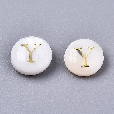 Natural Freshwater Shell Beads SHEL-S266-12Y-1