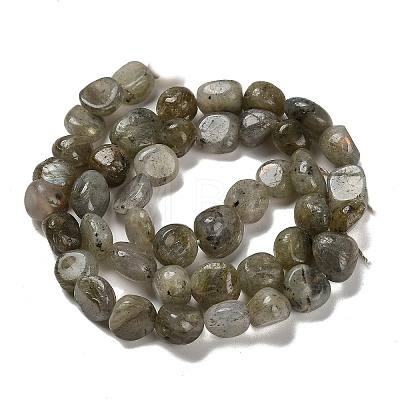 Natural Labradorite Beads Strands G-P497-01E-47-1