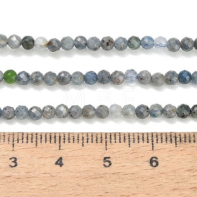 Natural Kyanite Cyanite Disthene Beads Strands GG-CBABEF5-A01-3mm-02-1