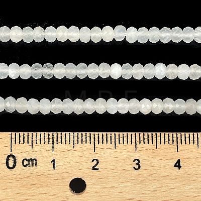 Natural White Moonstone Beads Strands G-Z058-B01-02-1