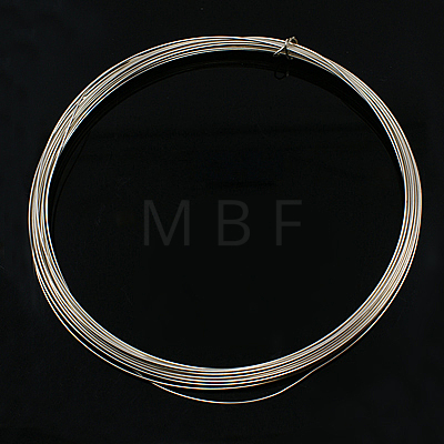 925 Sterling Silver Wire STER-D002-0.8mm-A-1