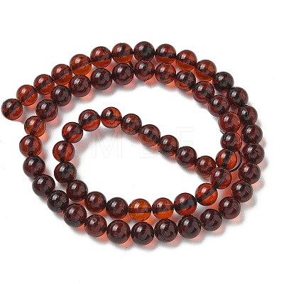 Natural Amber Beads Strands G-K387-D01-01-1
