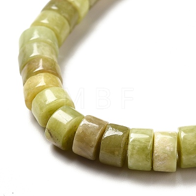 Natural Idocrase Beads Strands G-I339-03B-1