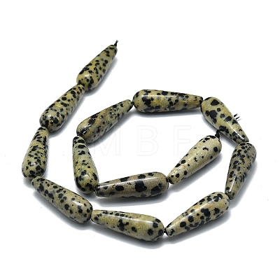 Natural Dalmatian Jasper Beads Strands G-E576-47-1