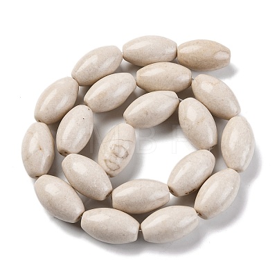 Natural Fossil Beads Strands G-H040-C02-01-1