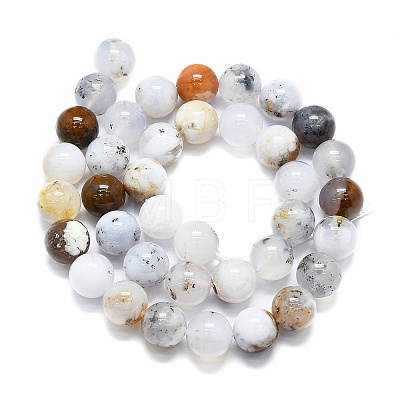 Natural White African Opal Beads Strands G-K245-A18-05-1