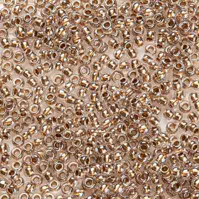 TOHO Round Seed Beads SEED-TR11-0989-1