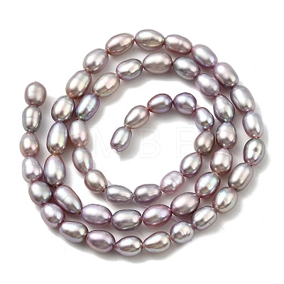 Natural Cultured Freshwater Pearl Beads Strands PEAR-I007-01P-01-1