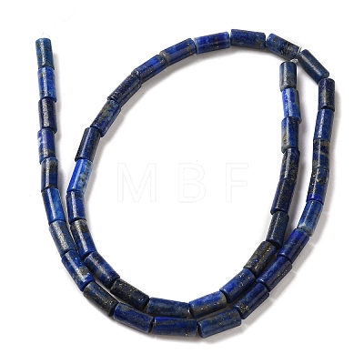 Natural Lapis Lazuli Beads Strands G-B091-A15-01-1