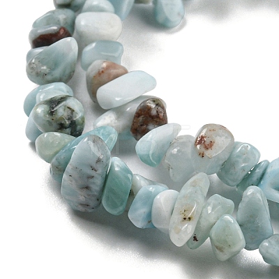 Natural Larimar Beads Strands G-G0003-B40-1