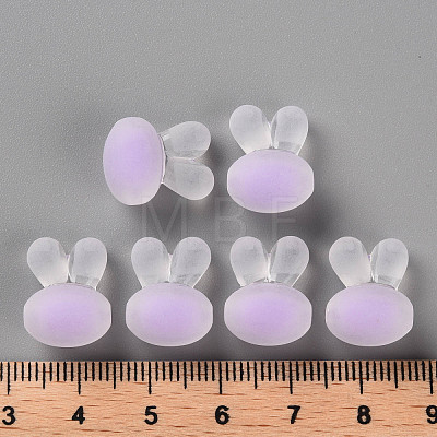 Transparent Acrylic Beads TACR-S152-12C-SS2114-1