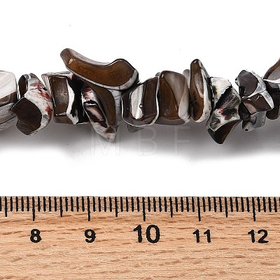 Natural Trochid Shell/Trochus Shell Beads Strands SHEL-B003-02M-1