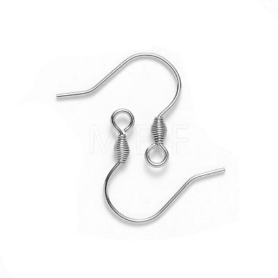 304 Stainless Steel Earring Hooks STAS-S111-011-1