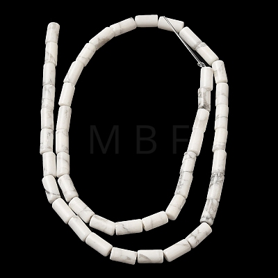 Natural Howlite Beads Strands G-B091-A17-01-1