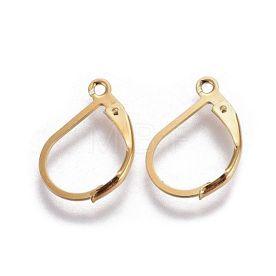 304 Stainless Steel Leverback Earring Findings LS-X-STAS-L221-09G-1